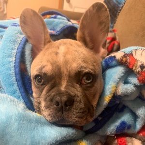 Meet your Posher, Jasmin